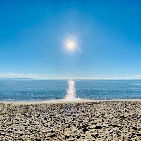 Dreams By The Sea *